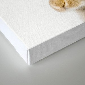 Bunny Baby Animal Zoo Nursery Minimal Modern Wall