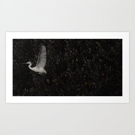 Great Egret- Umm Al Quwain 2020 Art Print