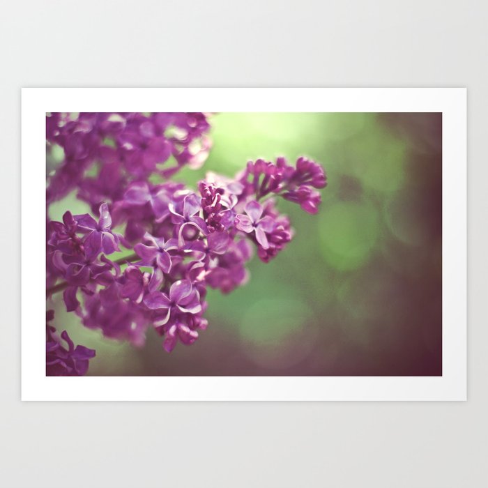Lilac happiness Art Print