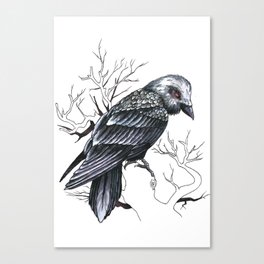 Raven Canvas Print