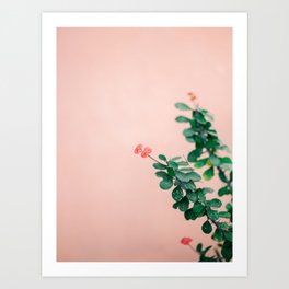 Floral photography print | Green on coral | Botanical photo art Art Print