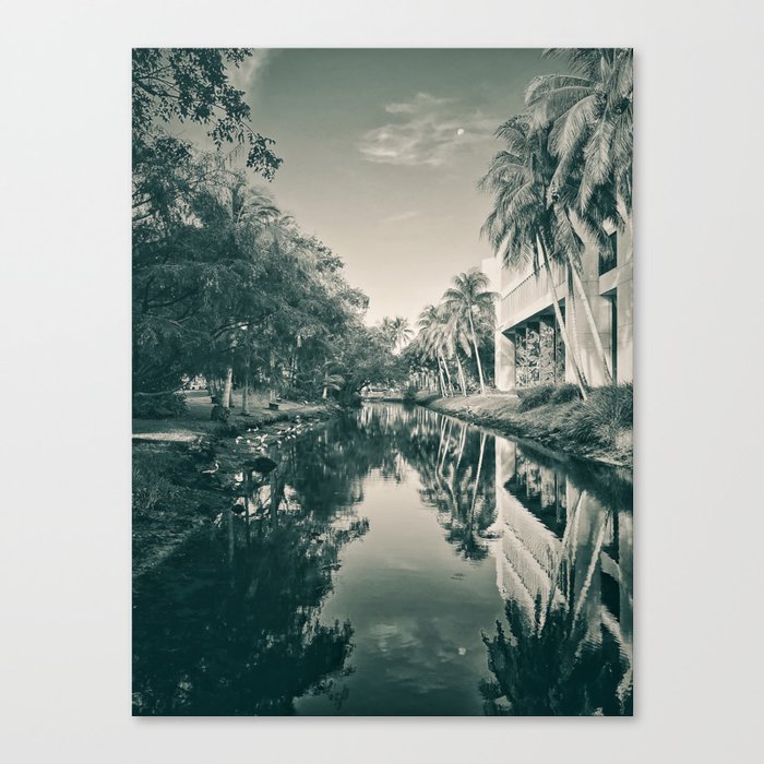 The other world Canvas Print