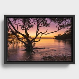 Tropical sunset Framed Canvas