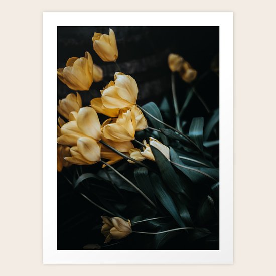 yellow tulips Art Print