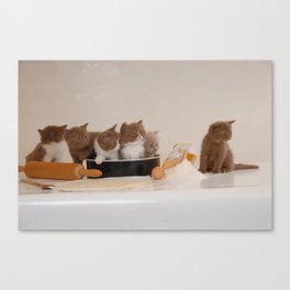 Cute kitten digital art  Canvas Print