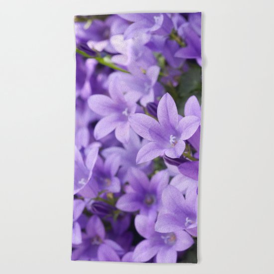DREAMY - Purple flowers - Bellflower in the sun #1 Beach Towel