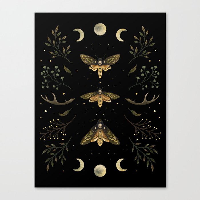 Death Head Moths Night Canvas Print