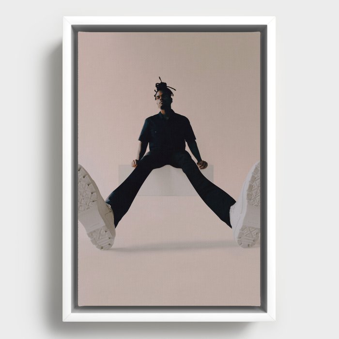 Daddy Long Legs Framed Canvas