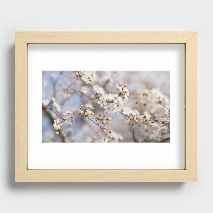 floral composition no. 4 Recessed Framed Print