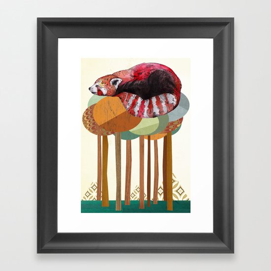 Red Panda Framed Art Print