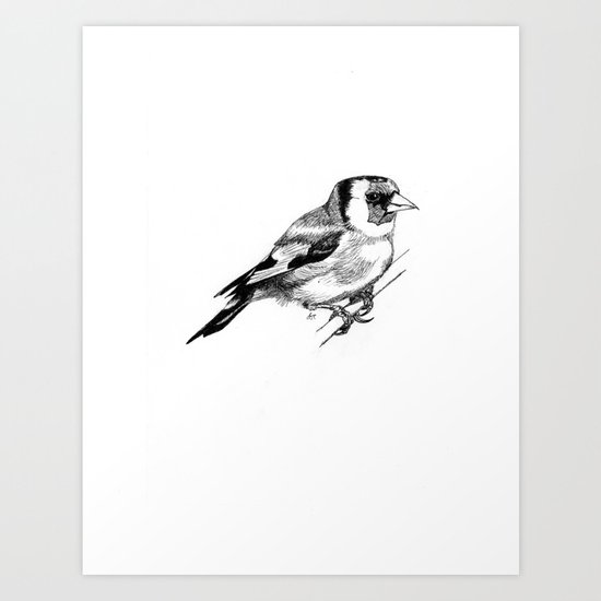 Solitary European Goldfinch Art Print