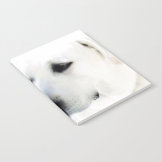 Bud Notebook