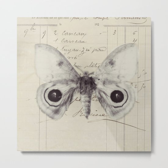 a butterfly Metal Print