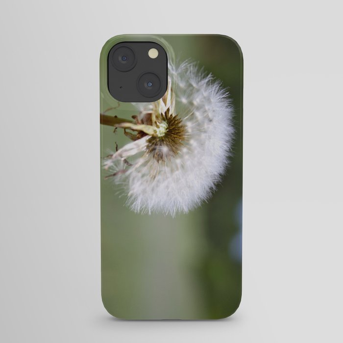 Don't Blow Away iPhone Case