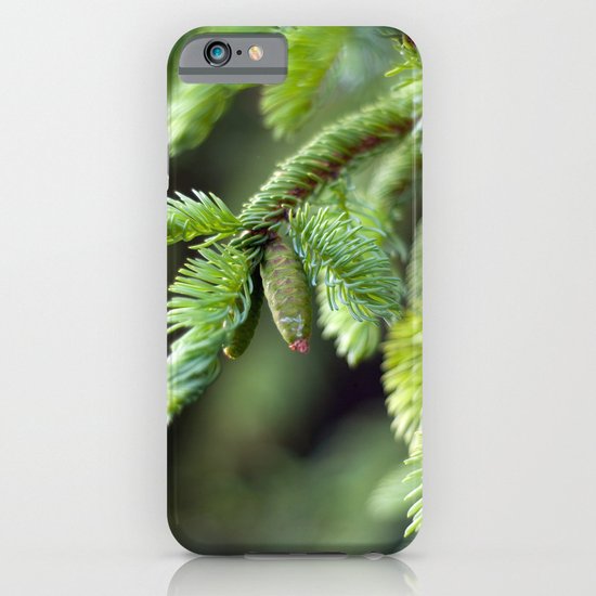 Baby Pine Cone iPhone & iPod Case