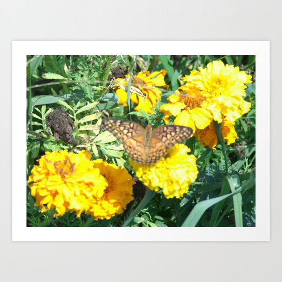 Butterfly Art Print