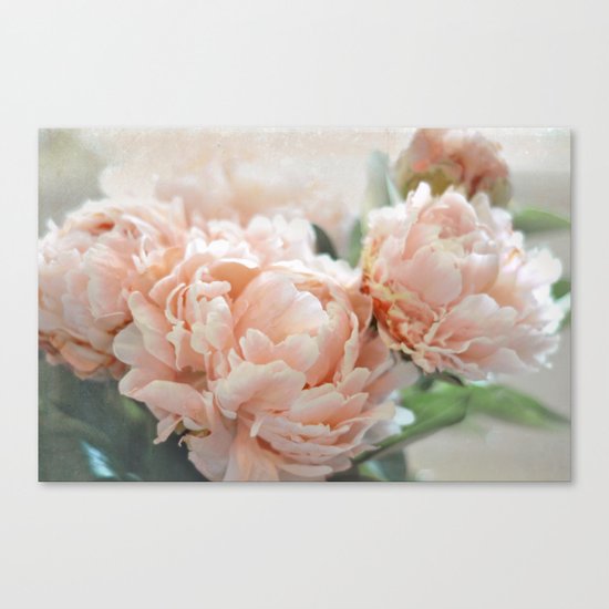 Peach Peonies Canvas Print