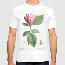 Lily magnolia (Magnolia discolor) from Traite des Arbres et Arbustes que lon cultive en France en pl T Shirt