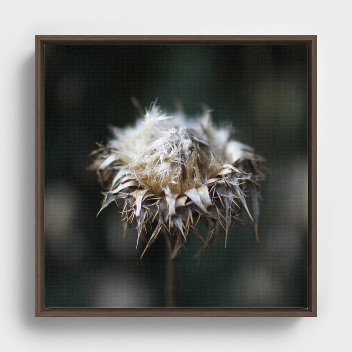 Wild flower Framed Canvas