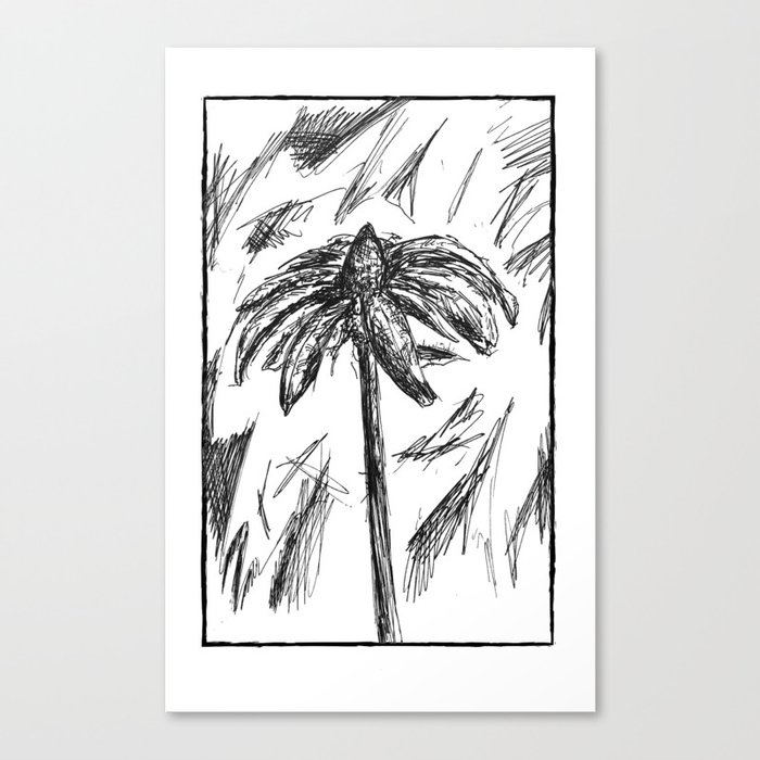 Wilted Canvas Print