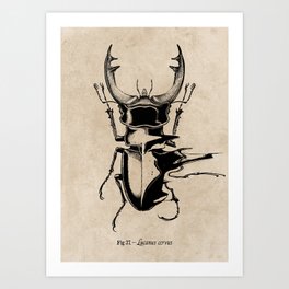 Stag Beetle Glitch Art Print
