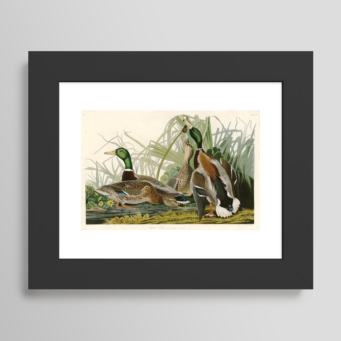 Framed Art Print
