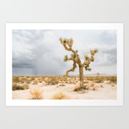 Desert Storm 1  Art Print