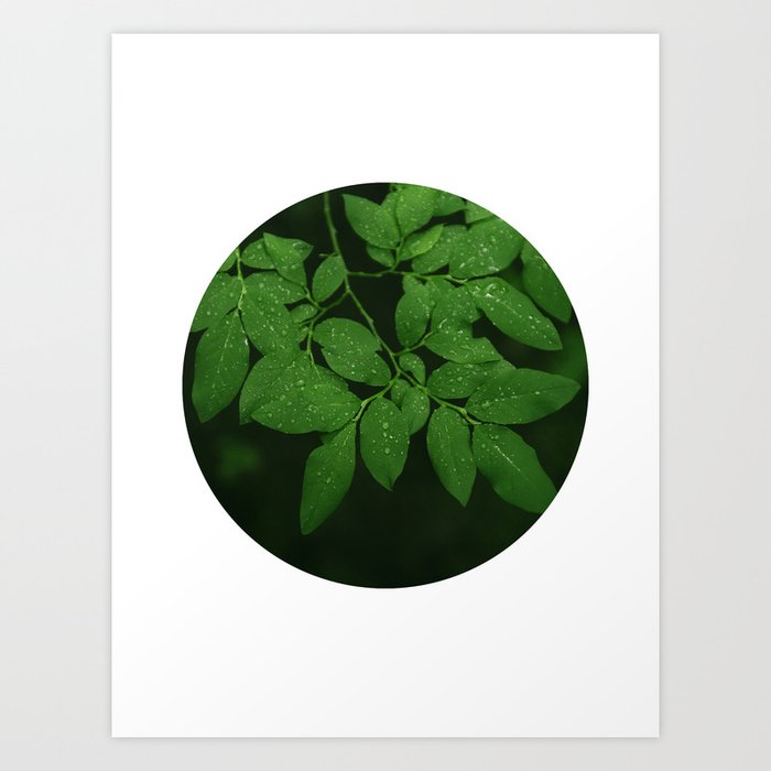 Green Plants Circle Photograph No. 1 Art Print