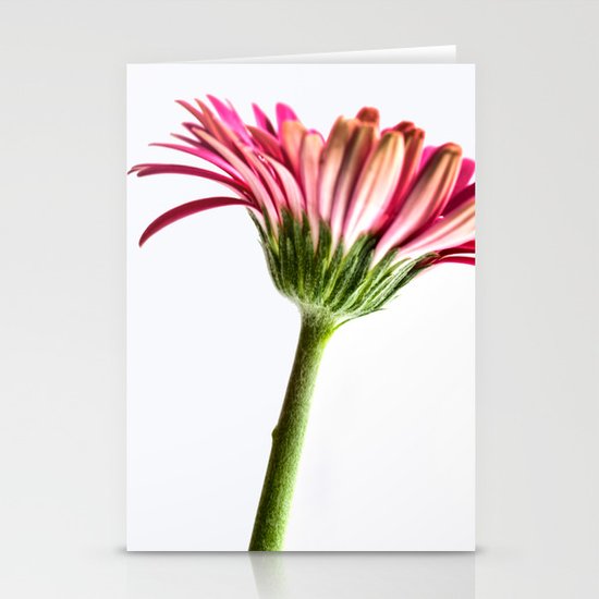 Pink Gerbera 4 Stationery Cards