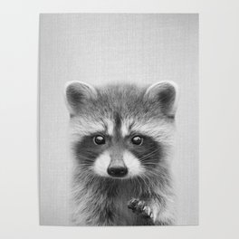 Raccoon - Black & White Poster