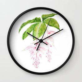 pink medinilla magnifica watercolor Wall Clock