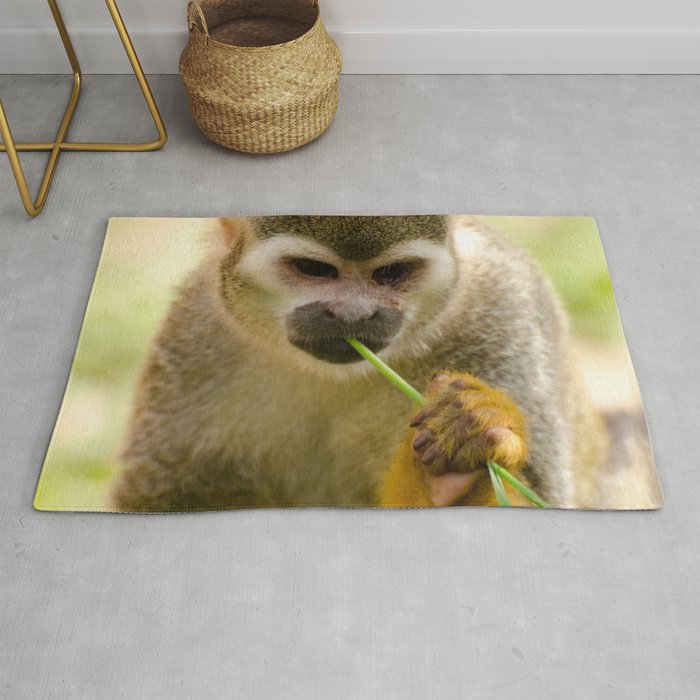 Brazil Photography - Monkey Eating A Grass Straw Rug