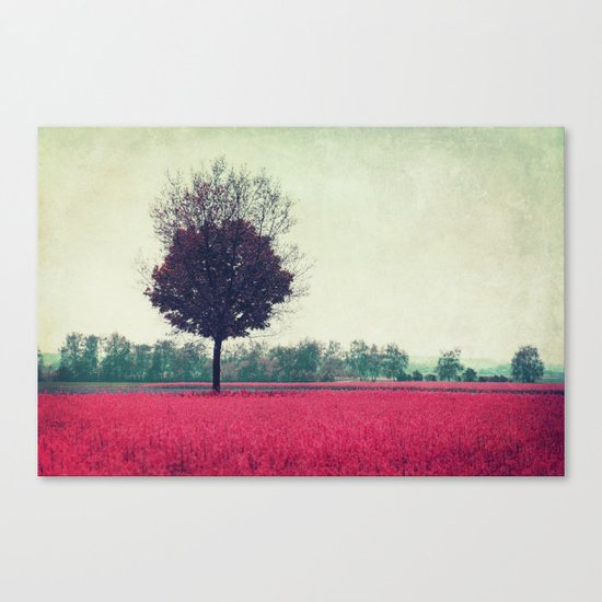 springtime Canvas Print
