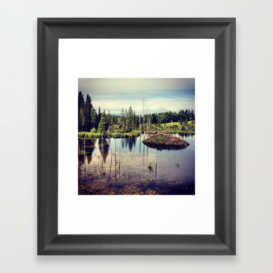 Beaver Dam Framed Art Print