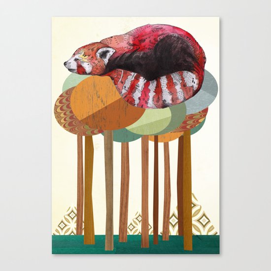 Red Panda Canvas Print