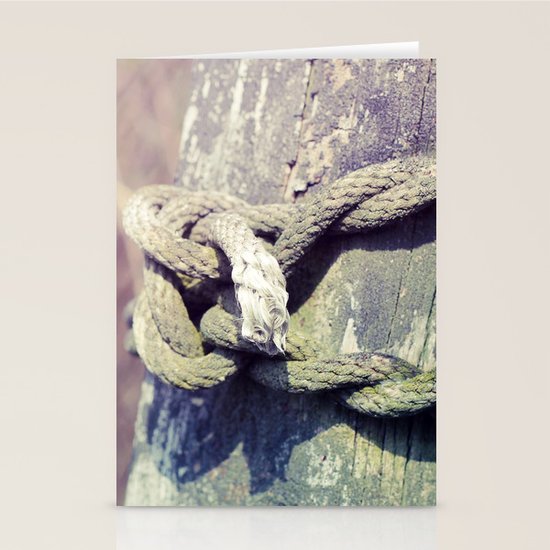 Tied Stationery Cards