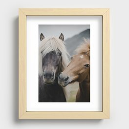 Happy Horses | Colour Recessed Framed Print