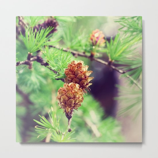 Pinecones Metal Print