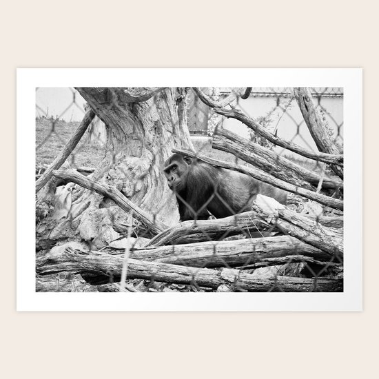 Corral Art Print