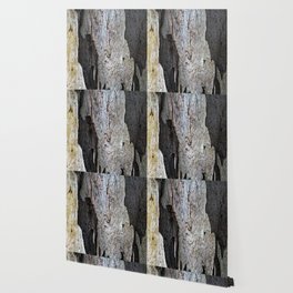 Eucalyptus Tree Bark and Wood Abstract Natural Texture 63 Wallpaper
