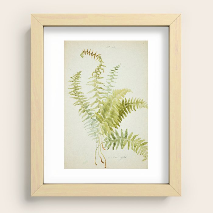 Recessed Framed Print