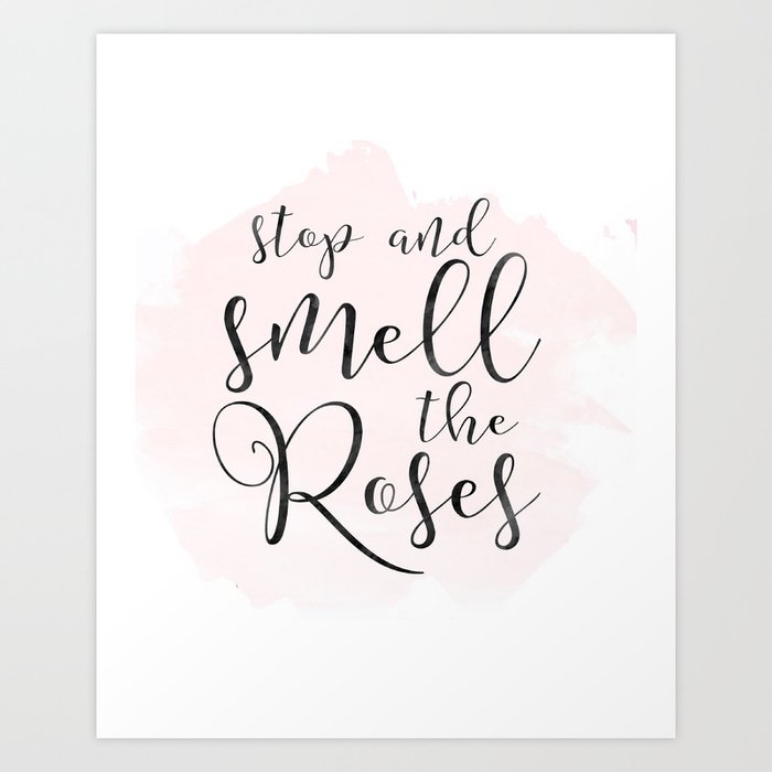 Wine Art Print Stop And Smell The Rose Funny Drink Quote Wine Lovers Gift Rose Wine Print Art Print By Tomoogorelica Society6