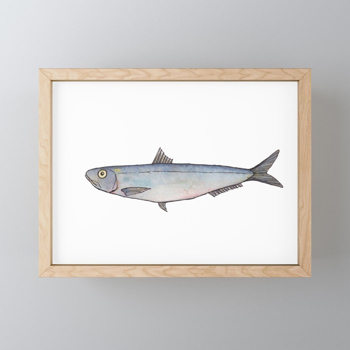 Sardine: Fish of Portgual Framed Mini Art Print