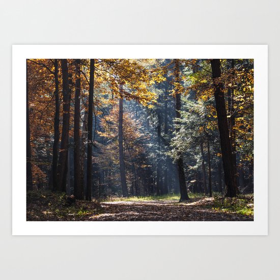 Colorful autumn Art Print