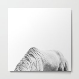 Horse | Animal Photography | Horse Mane Metal Print