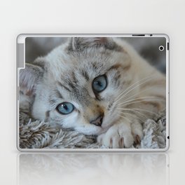 Cute Kitten Blue Eyes Laptop Skin