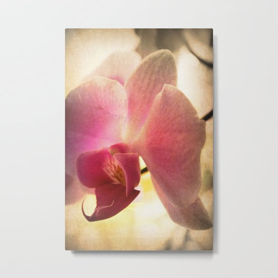 A Touch of Vintage Metal Print