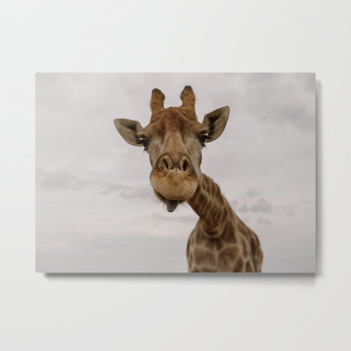 hey love! | my favorite safari animal | giraffe in Stellenbosch South Africa | photography print Metal Print