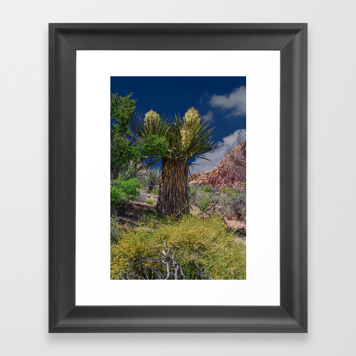 Spring 8939 - Red Rock Canyon National Conservation Area, Las Vegas, Nevada Framed Art Print