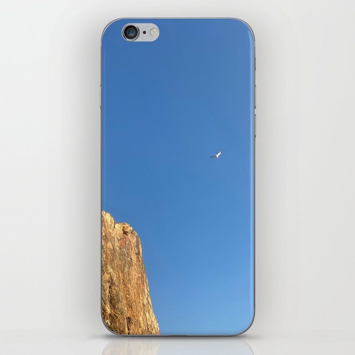 Point Dume iPhone Skin